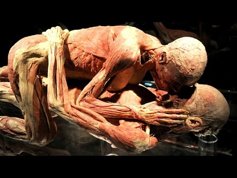 10 Disgusting Facts About The Human Body