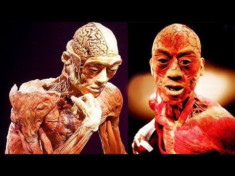 Facts You Didn't Know About The Human Body