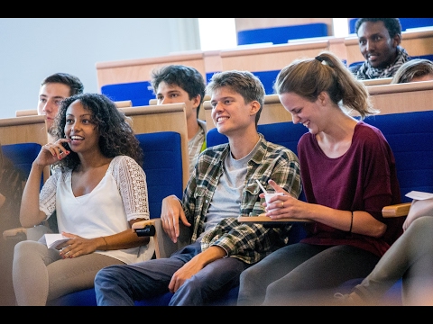 Bachelor International Studies at Leiden University