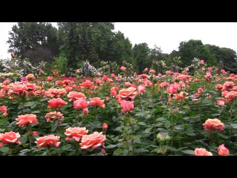 Regent's Park - London Full HD Video - Canon HF S200