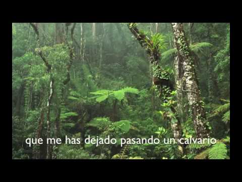 Mitú - Solitario (Lyric Video)