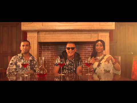 DJ KAYZ feat MISTER YOU , DR ZEUS & SOPHIA AKKARA - JUGNI JI -  CLIP OFFICIEL