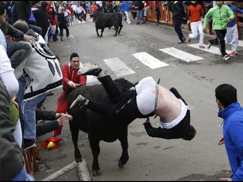 Bull Fighting Accidents 18+