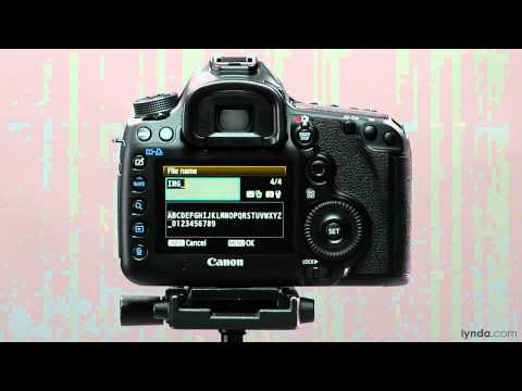 Canon 5D tutorial: Changing filename | lynda.com