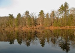 Lake reflectio...