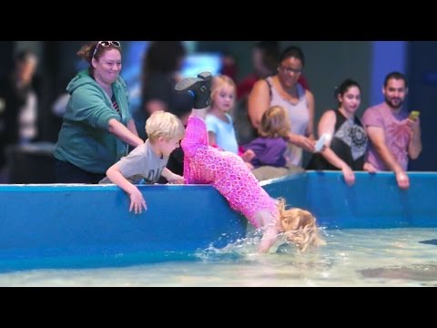 Girl Falls Into Aquarium