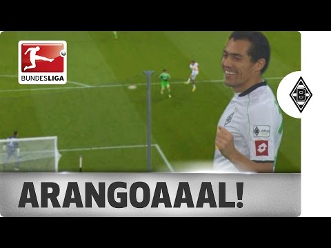 The Special Juan - All of Juan Arango's Goals in the Bundesliga