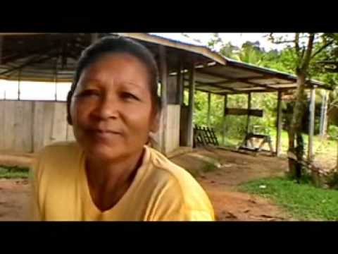 We visit an Arawak indian settlement and speak with some women; tribal chief Daniel Gomez!