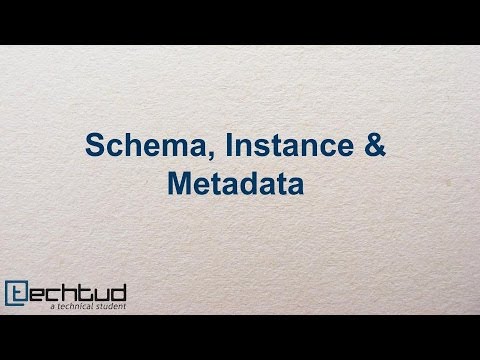 Schema, Instance & Metadata | Database Management System