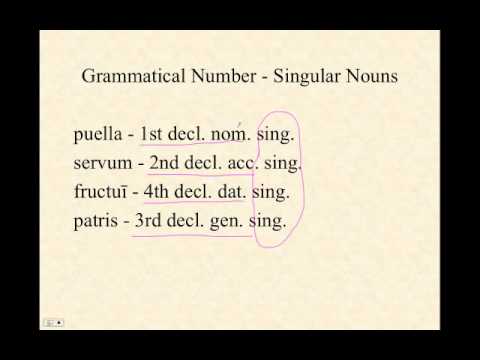 Grammatical Number