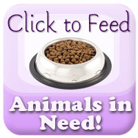 Animal Rescue Site Click to Feed Animals