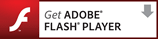 Download the free Adobe Flash Player