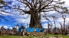 Cyclone Pam destruction