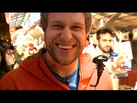 Furious World Tour | Beijing, China in 4K - Scorpions, Great Wall,  Donkey Balls | Furious Pete