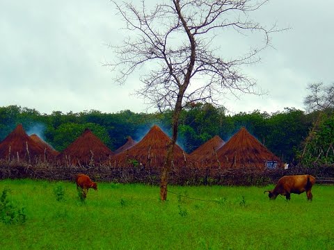 Top 10 Largest Cities or Towns of Guinea-Bissau