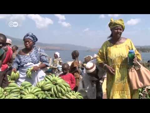 African Stories: Bananas from Guinea - more business, more affluence | Global 3000