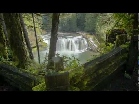 Visit Your Pacific Northwest National Forest