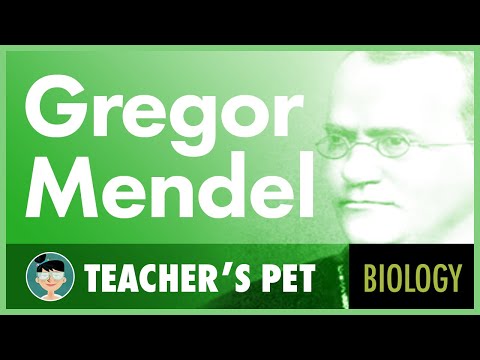 Gregor Mendel