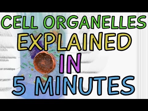 Cell Biology: Cell Organelles explained in 5 minutes!!