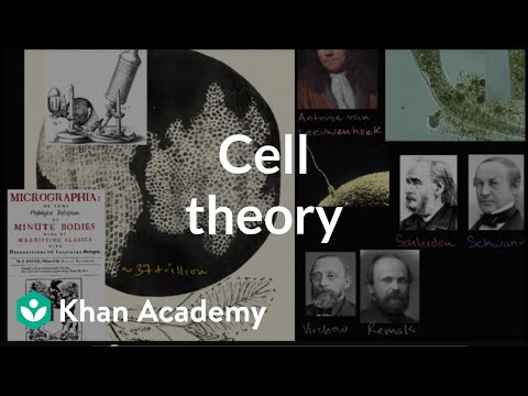 Cell theory | Structure of a cell | Biology | Khan Academy