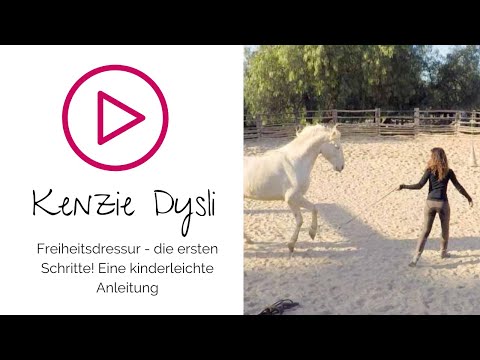 Freiheitsdressur lernen mit Kenzie Dysli - Trainingsanleitung Schritt für Schritt