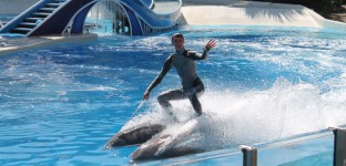 BREAKING: SeaWorld Admits Employees Spied on PETA