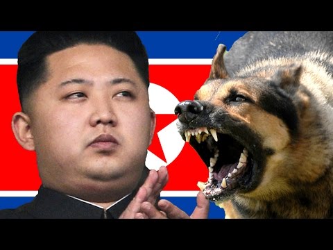 North Korea: Kim Jong Un feeds uncle to dogs, executes 'traitor' with flamethrower - compilation