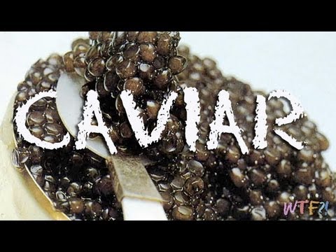 What Is and How to Eat Caviar? Caviar 101!