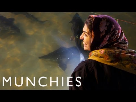 Beluga Caviar is Black Gold: MUNCHIES Guide to Tehran (Part 3/3)