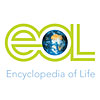 Encyclopedia of Life Images