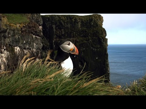 Unique Iceland: Westfjords