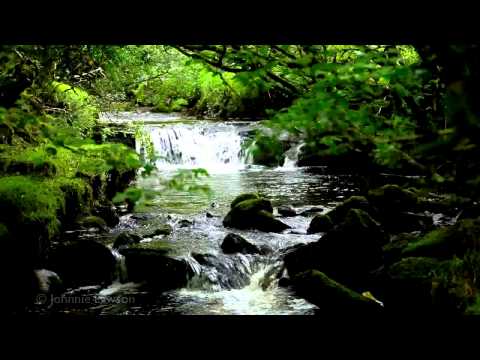 Relax-Nature Sounds-8 Hours-Waterfalls-Bird Songs-Sleep, Relaxation, Meditation and Study