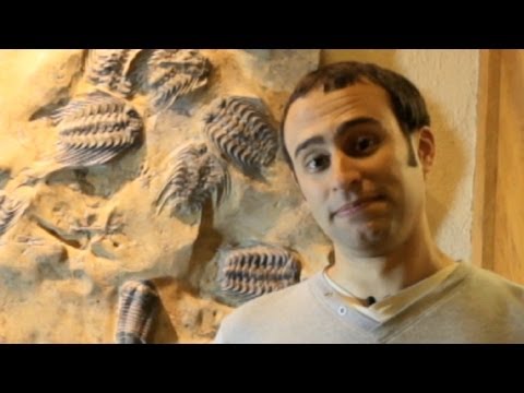 Top Ten Dino and Fossil Discoveries with Steve Brusatte - Walking With Dinosaurs