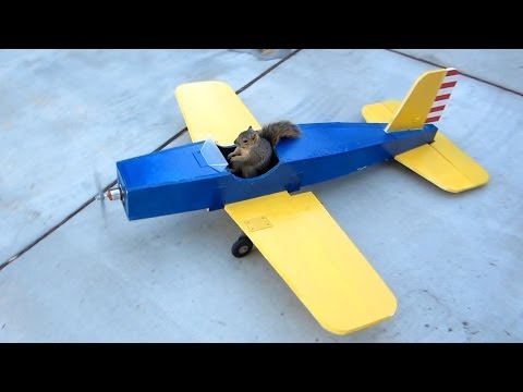 Squirrel Steals Airplane