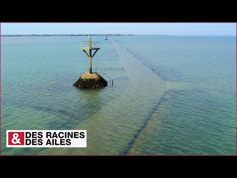 DRDA : De la Vendée au pays nantais - Le passage du Gois