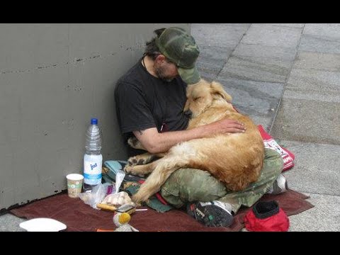 Helping The Homeless Compilation 2015