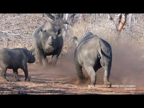 Southern Africa Tour (South Africa/Namibia/Botswana/Zimbabwe) - Overland Adventure 2015