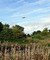 Walking the London Loop, Section 9 Hatton Cross to Kingston Bridge via Hounslow and Bushy Park, west London, England, 3rd October, 2010