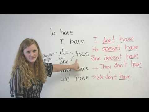 Basic English Grammar - Have, Has, Had