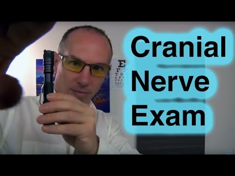 ASMR Cranial Nerve Examination Role Play Dr Dmitri