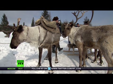 Reindeer Races: A Freezing Adventure (RT Documentary)