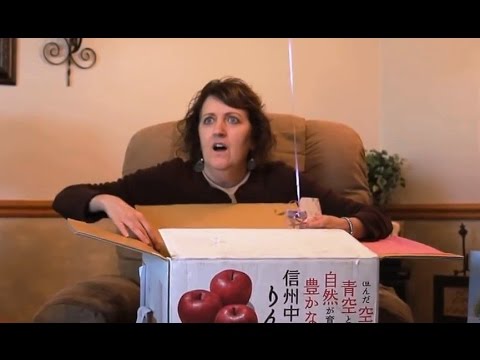 Best Pregnancy Announcements Compilation [NEW]