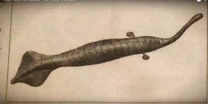 The "Tully Monster" had a crane-like neck, tooth-filled jaws resembling a lobster claw, and eyes mounted at either end of a bar across the middle of its back.