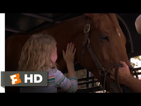 Dreamer (7/9) Movie CLIP - You Came Home! (2005) HD