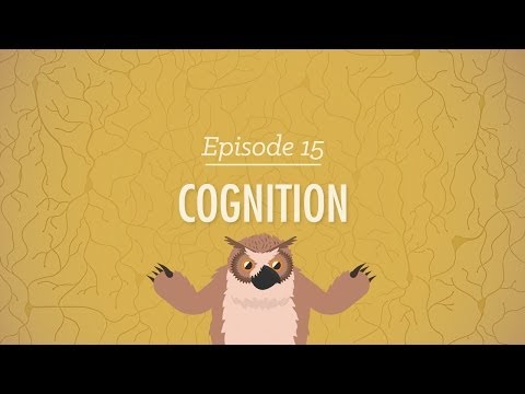 Cognition: How Your Mind Can Amaze and Betray You - Crash Course Psychology #15