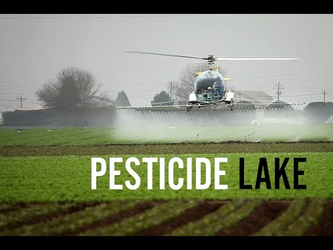 Pesticide Lake - The Poisoning of the Workers of Apopka, Florida