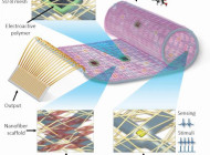 Cyborg Heart Patch Replaces Dead Cardiac Tissue with Combination of Healthy Cells, Electronics