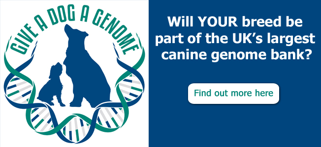 Give a Dog a Genome