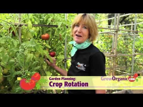 Garden Planning: Crop Rotation, Succession Planting & More