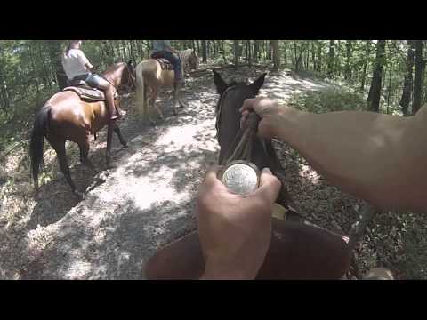 HORSEBACK RIDING - GoPro Hero View - NJ New Jersey Shore Travel Tourism (at Echo Lake Stables)